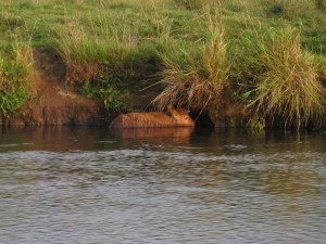 IMG_1753