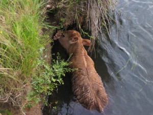 IMG_1758