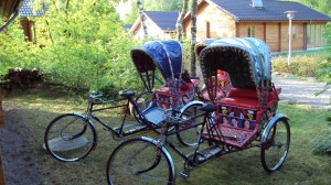 skjern å 2011 - krage 008