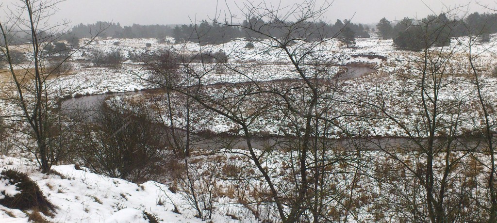 Holtum Å