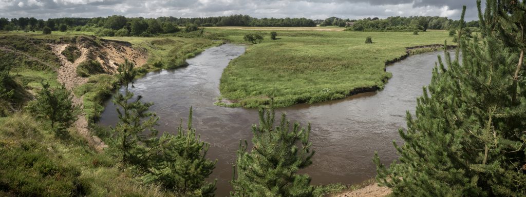 Fiskekort til Skjern Å kan købes hos Lystfiskerforeningen af 1926