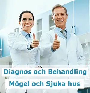 Diagnos och behandling av mögel och sjuka hus