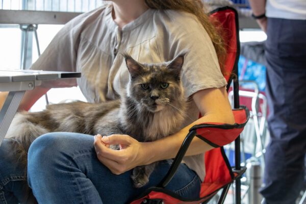 Kopia av 12082023 62A3037