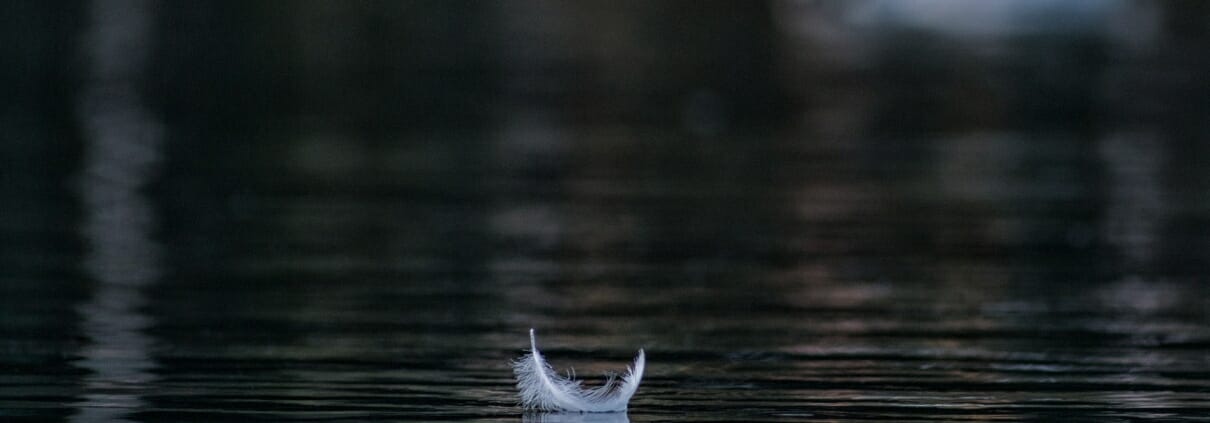 Veertje op het water. Rust