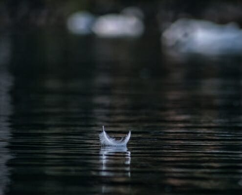 Veertje op het water. Rust