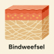 Bindweefsel
