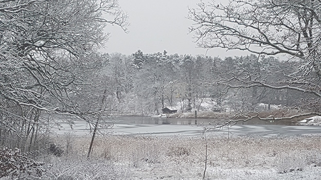 Förslag på nya fredningsområden för fisk