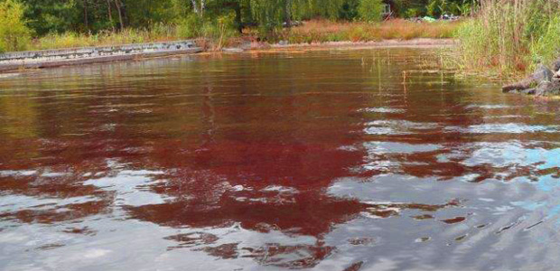 Rödfärgat havsvatten runt Lidingö