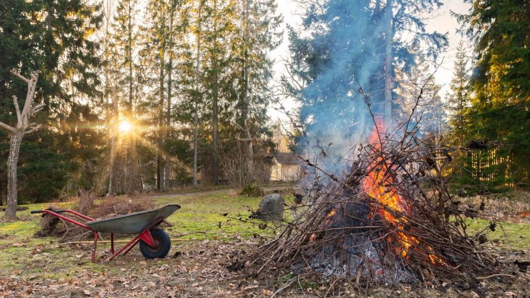 Nu hämtas trädgårdsavfall