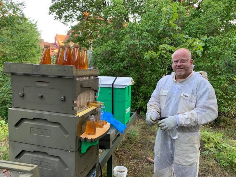 Pelle odlar bin på Lidingö