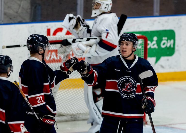 Säker seger för Vikings mot Värmdö 4-2