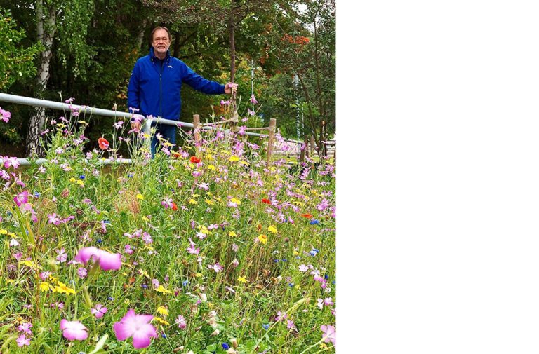 Snart får även N:a Kungsvägen blomsterängar