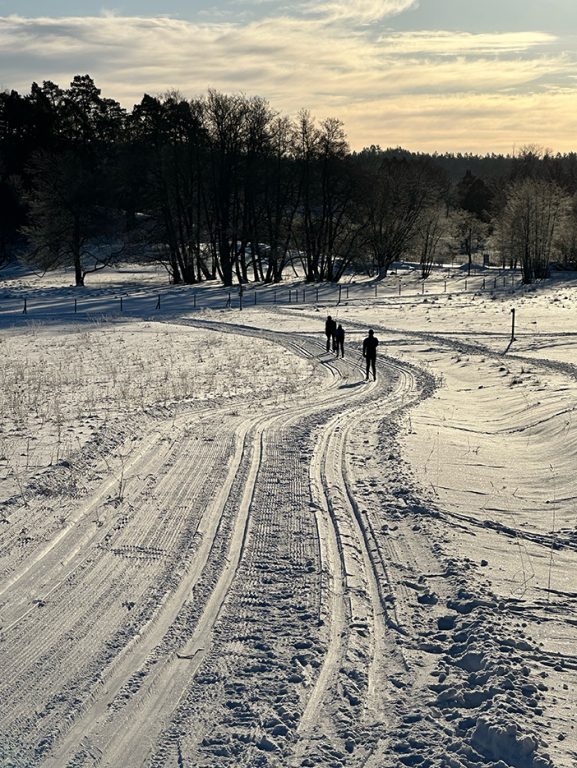 Passa på att åka skidor!