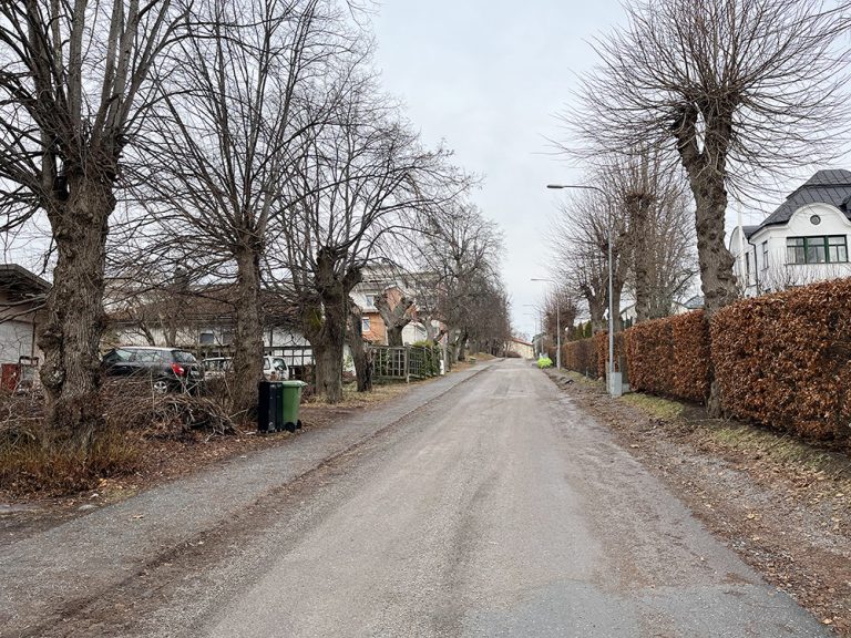 Mars bildrebusjakt om alléer