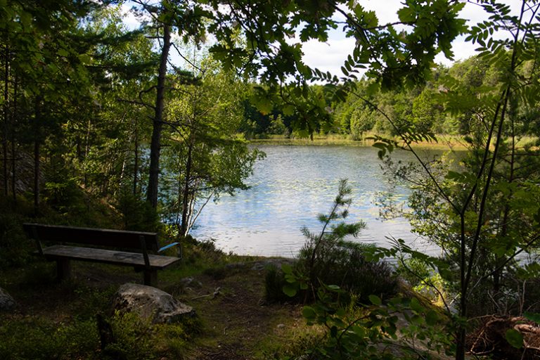 En sommarpromenad runt Kottlasjön