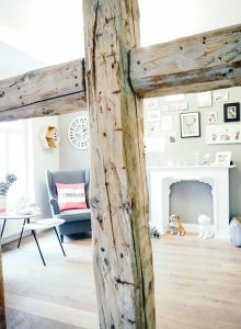 20171007-Franziska-Knabenreich-Feingemacht-Hundefrisoer-Eltville-Lieblings-Blog-Wiesbaden-Laden-Blick-durch-Holzbalken