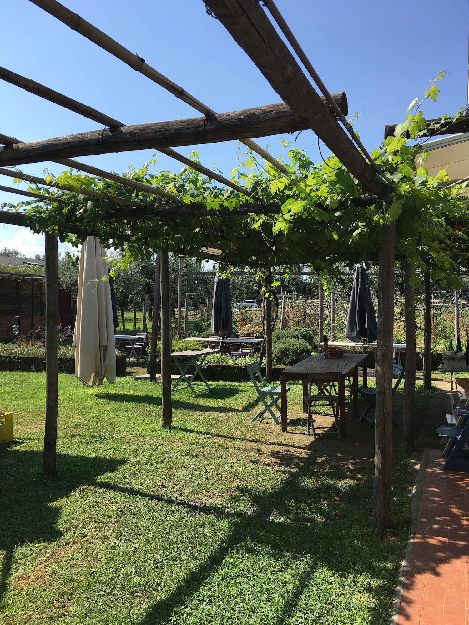 Lieblings Blog Gartenideen Pergola Wein