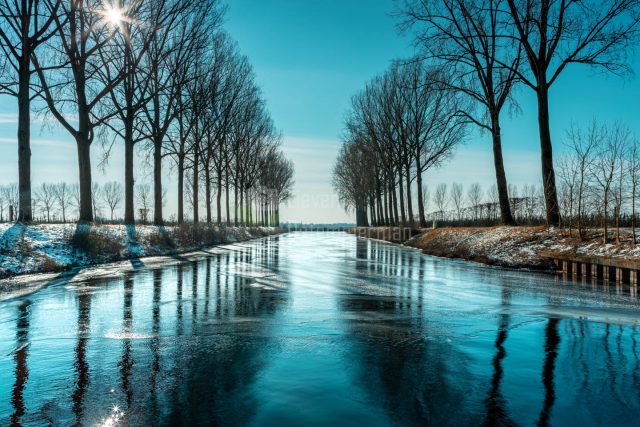 Cold winter view with symetric reflections of trees on icy blue Leopoldskanaal, Boekhoute, Flanders, Belgium