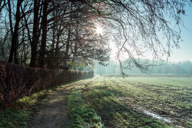 A small unpaved path leading to the fields of Bottelare, Flanders, Belgium