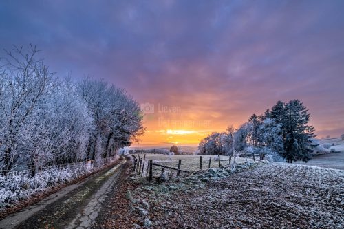 The sun sets leaving orange flares over a field in Achouffe, Wallonia, Belgium