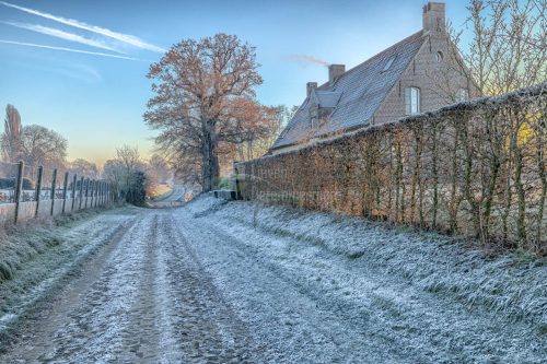 A cold winter morning with a house along some gravel path, Munte, Flanders, Belgium