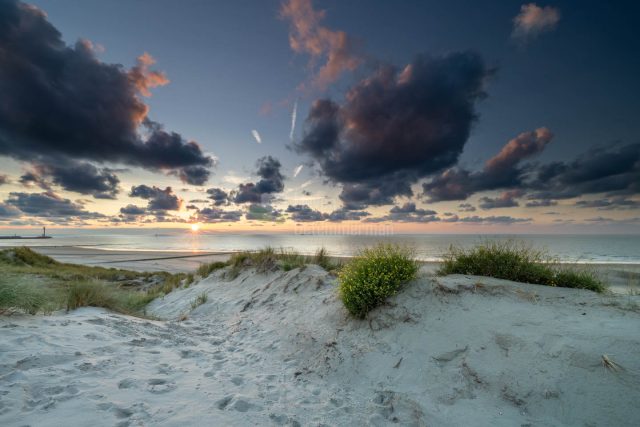 Evening falls over the dunes at Bredene, Flanders, Belgium