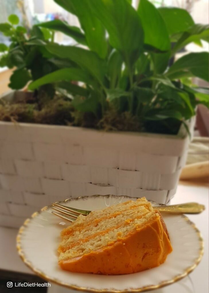 Orange layered cake with a plant in the background