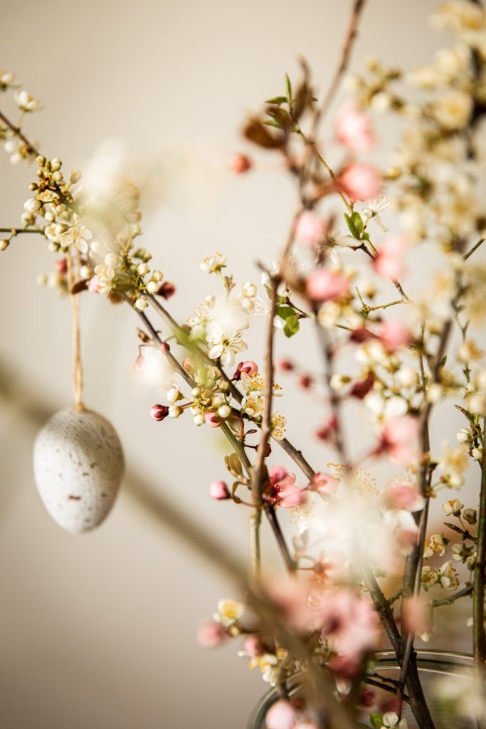 easter egg hanging from blossom