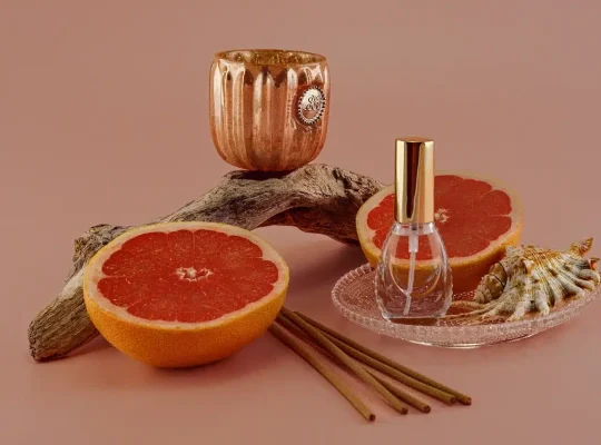 A still life arrangement set against a beige background features a halved grapefruit, wooden incense sticks, a glass nail polish bottle, a conch shell, and driftwood—objects thoughtfully placed to explore the idea of balance. Much like selecting between coaching vs therapy or finding the right coach for women, this composition invites reflection on which path is right for you. coach
