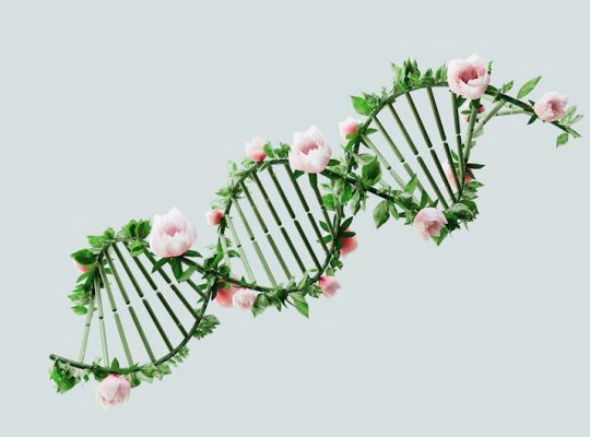 A DNA double helix is creatively depicted using green vines and pink flowers against a pale background, beautifully blending elements of nature and science. Inspired by this fusion, a coach for women embraces the harmony between the natural world and scientific understanding in her empowering sessions. coach