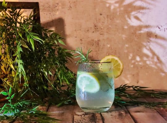 A glass of iced water with lemon and lime slices, garnished with a sprig of rosemary, sits on a wooden surface surrounded by leafy green plants and set against a textured beige wall. This refreshing scene could easily inspire any coach for women to recommend mindful hydration as part of a healthy lifestyle. coach