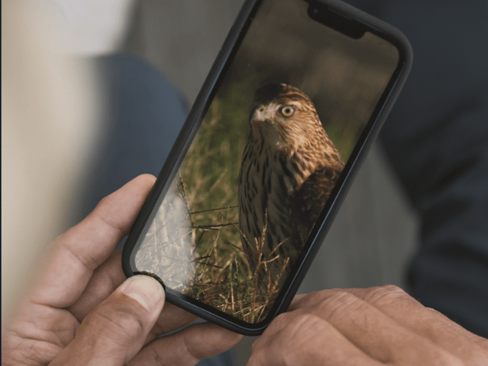 pictures and videos taken with integrated camera lens