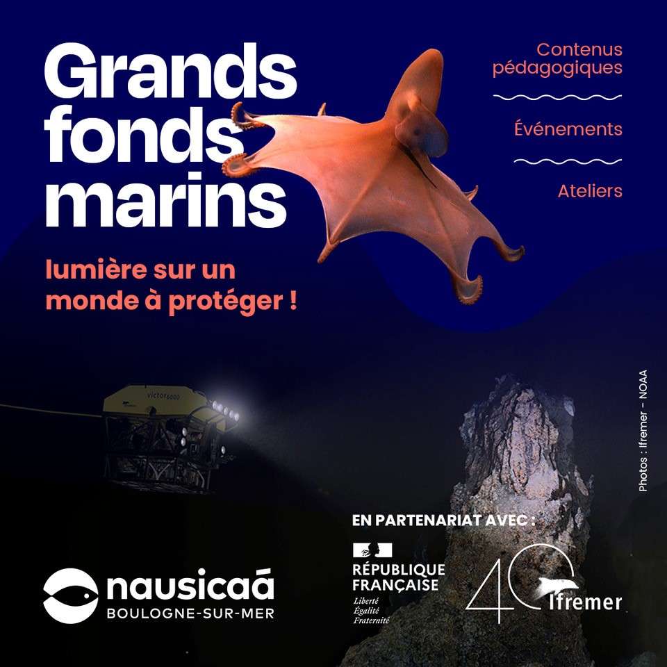 « Grands fonds marins : lumière sur un monde à protéger »