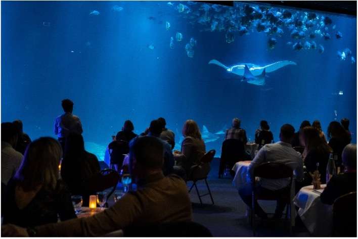 Nausicaá organise le dîner des profondeurs devant la grande baie le 29 juin 2024