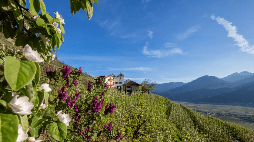 Een duurzame gezinsvakantie plannen? Roter Hahn legt je te slapen in biologische alpenboerderijen