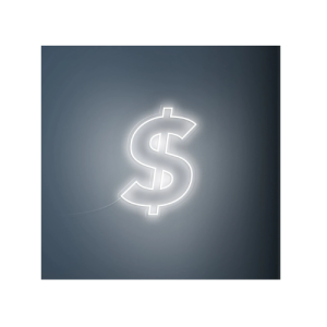LED NEON SKILT DOLLER SYMBOL