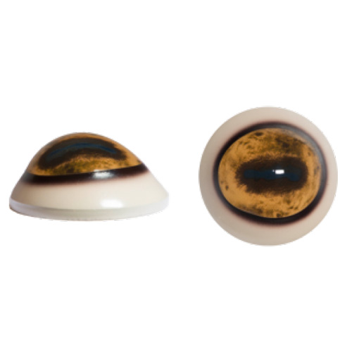Sheep Eyes Like Nature Premium online Taxidermy Supply