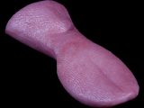 Beaver (Medium) Tongue