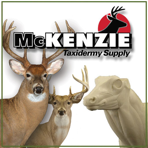 Taxidermy Tools and Equipment