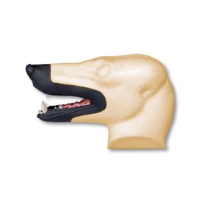 Red Fox - COH/Cast Lips/Open Mouth