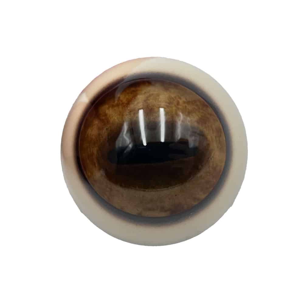 Red Stag Deer Eyes | Like Nature - Premium online Taxidermy Supply