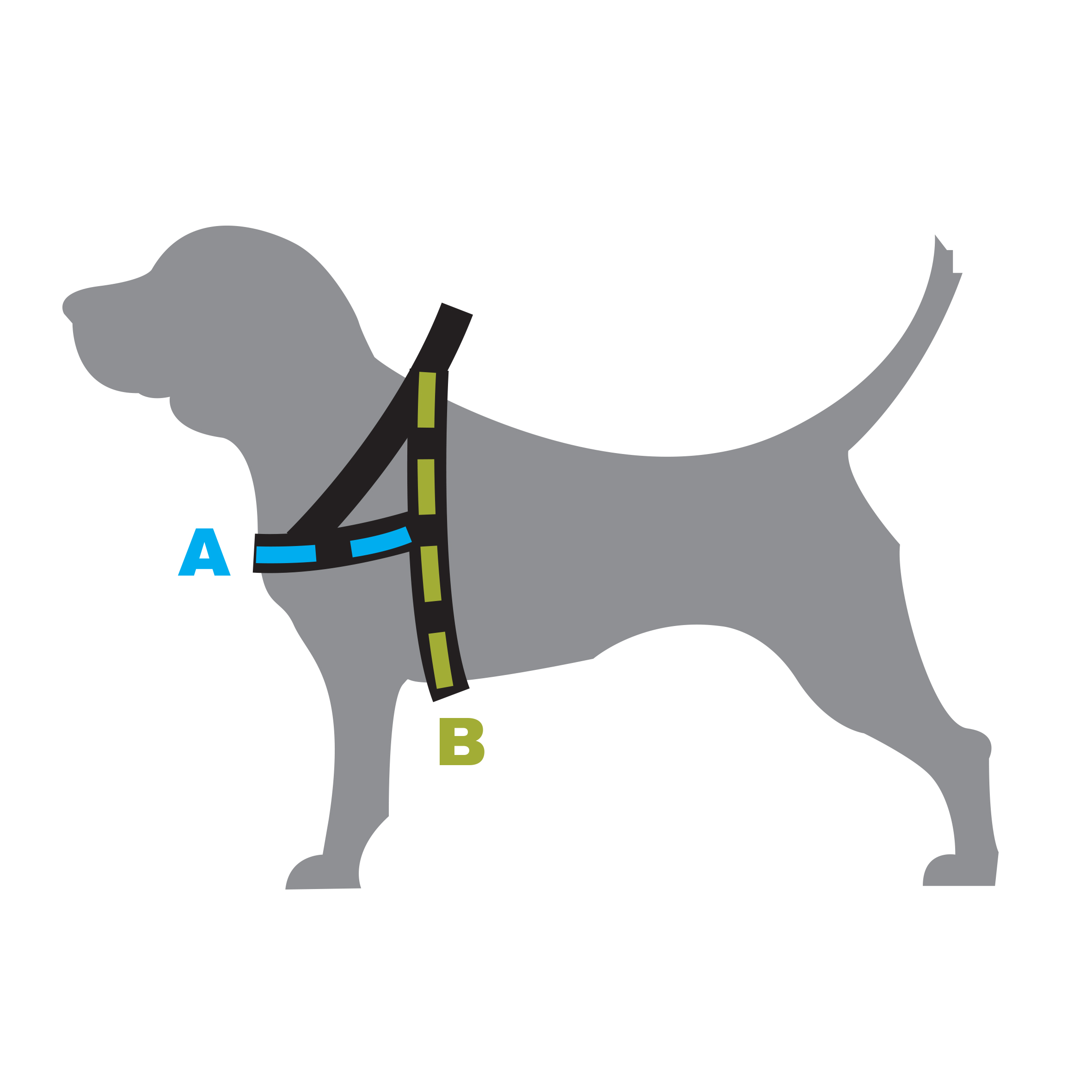 KENNEL EQUIP Dog T Harness Active hundsele, Blå – olika storlekar -  LillaShop.se