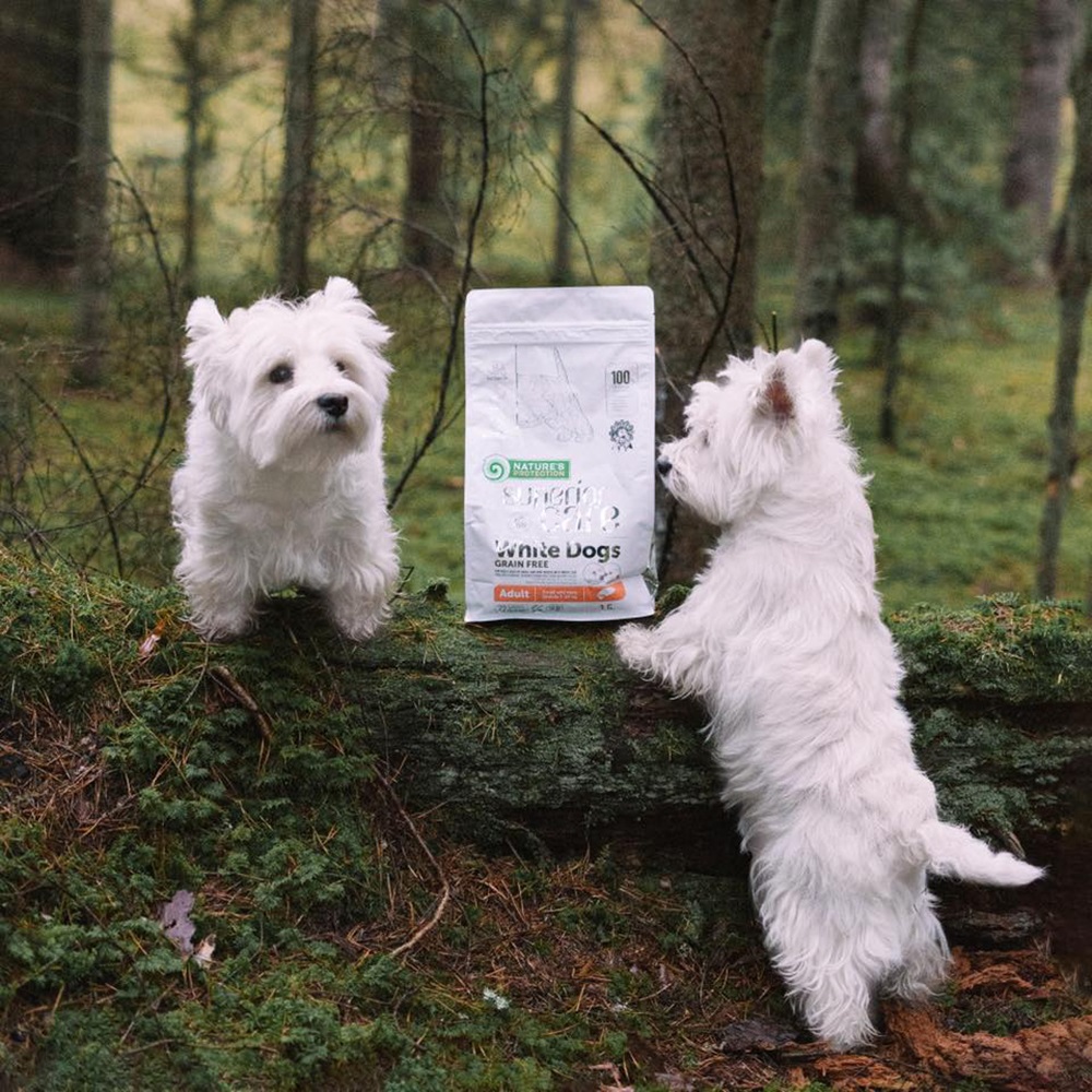 Protège carnet de santé pour chien médaillon dog marron protège