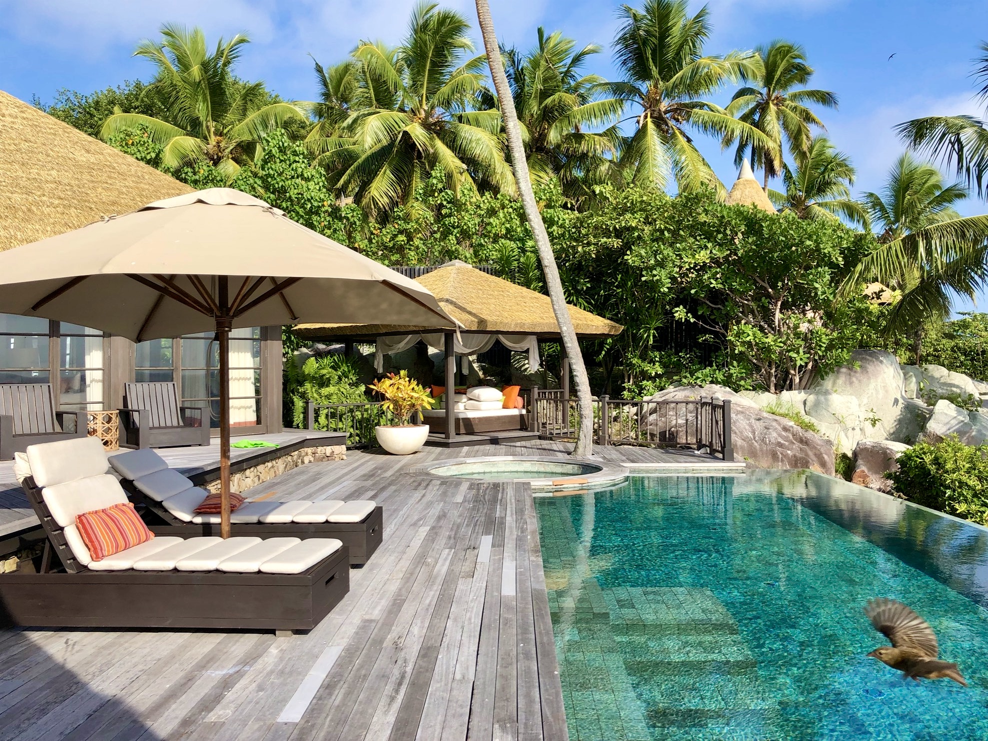 Villa, palms trees and infinity pool in on Fregate Island. Photo by Mihaela Limberea