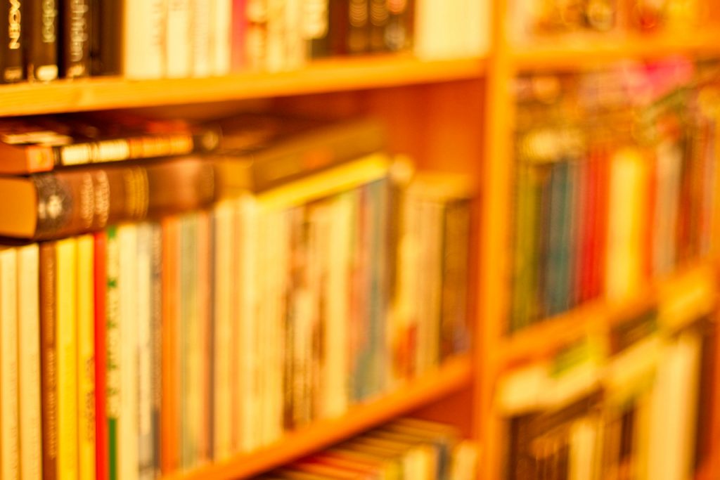 My book shelf, including the best books of 2020. Photo by Mihaela Limberea.