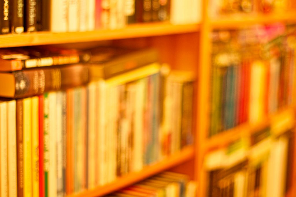 Books on bookshelves. Photo by Mihaela Limberea