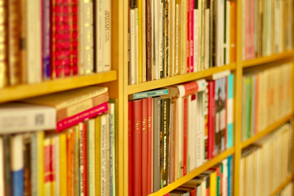 Close up of book shelves, two of them dedicated to writing. Photo by Mihaela Limberea.