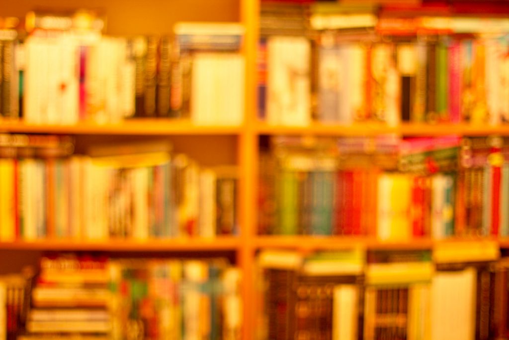 Books on bookshelves. Photo by Mihaela Limberea