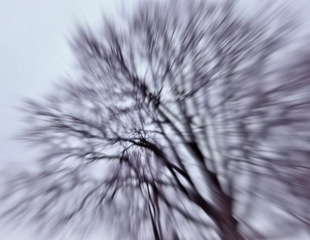 A distorted tree image to illustrate a headache. Photo by Mihaela Limberea