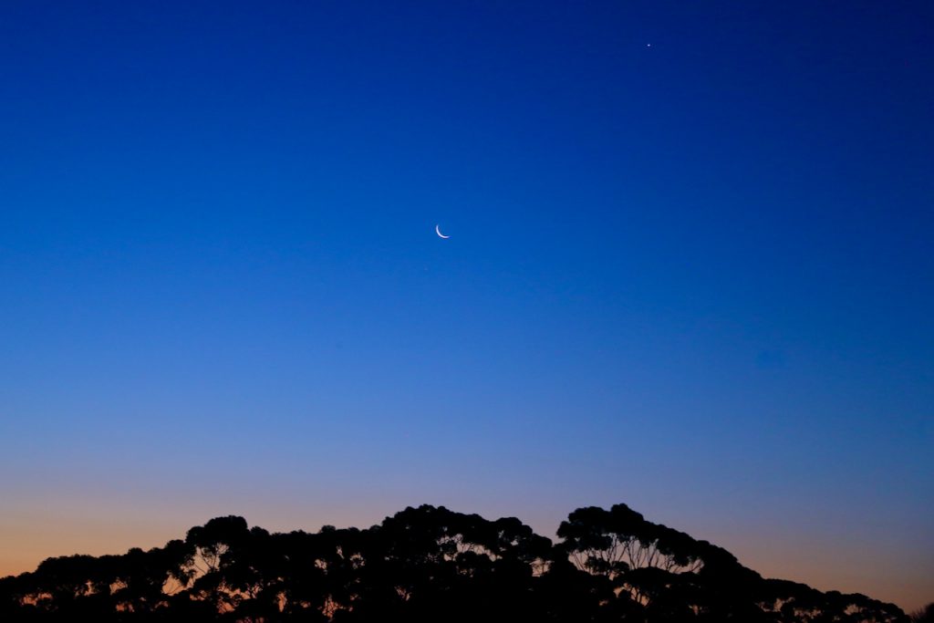 The sky at dusk, a sliver of the moon showing, with tree shadows in the foregrounds. Photo by Mihaela Limberea,